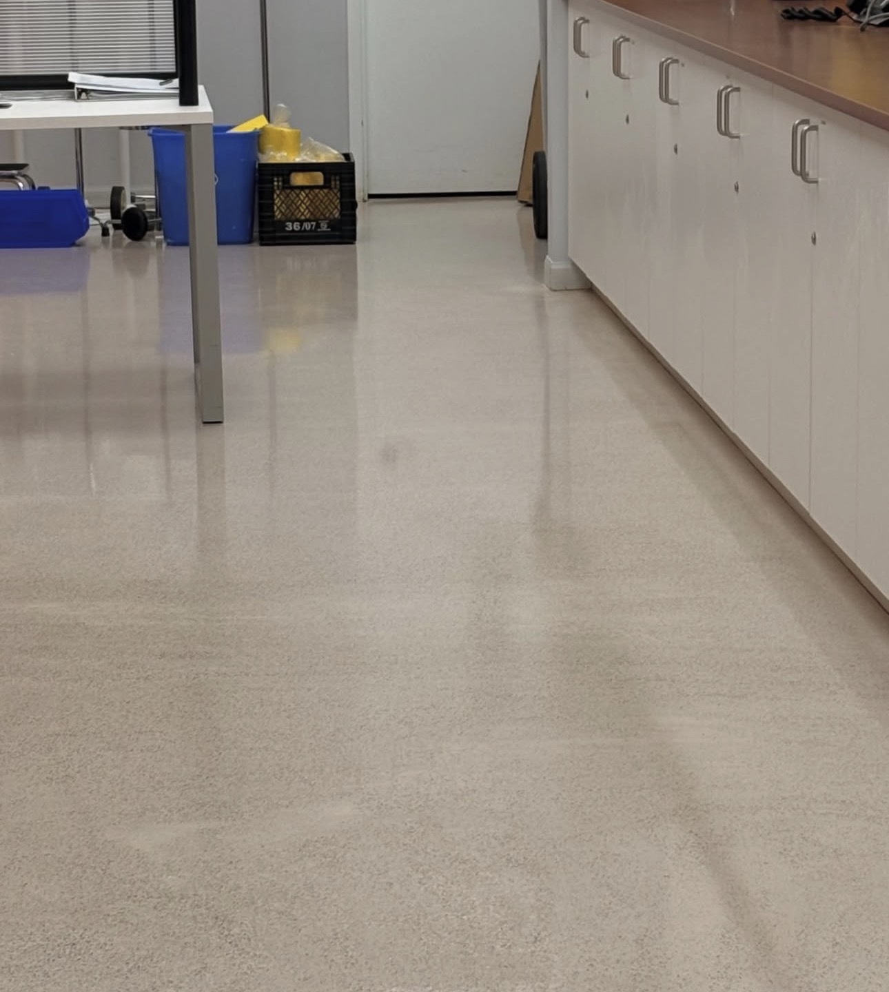 Industrial corridor floor polishing by Freshly Done